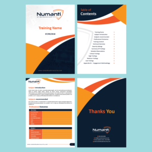 Cybersecurity Start-Up - Numanti