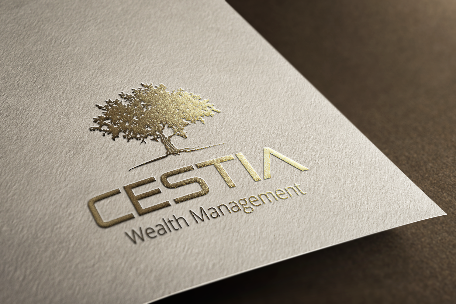Logo Design by Ezgi Kilavuz for this project | Design #19140672
