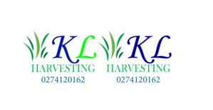 Logo Design by Muhammed Shaban