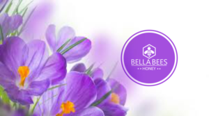Design de Logo par Sizuka pour ce projet | Design #19135317