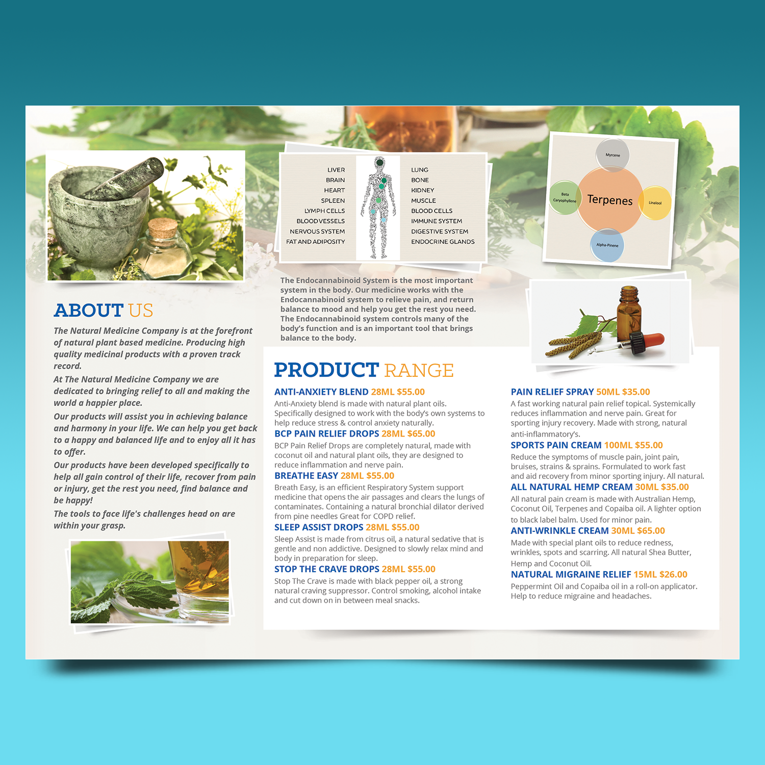 Diseño de Flyer por VEGA-Designs para Precise Fitout Solutions Pty Ltd | Diseño #19150908