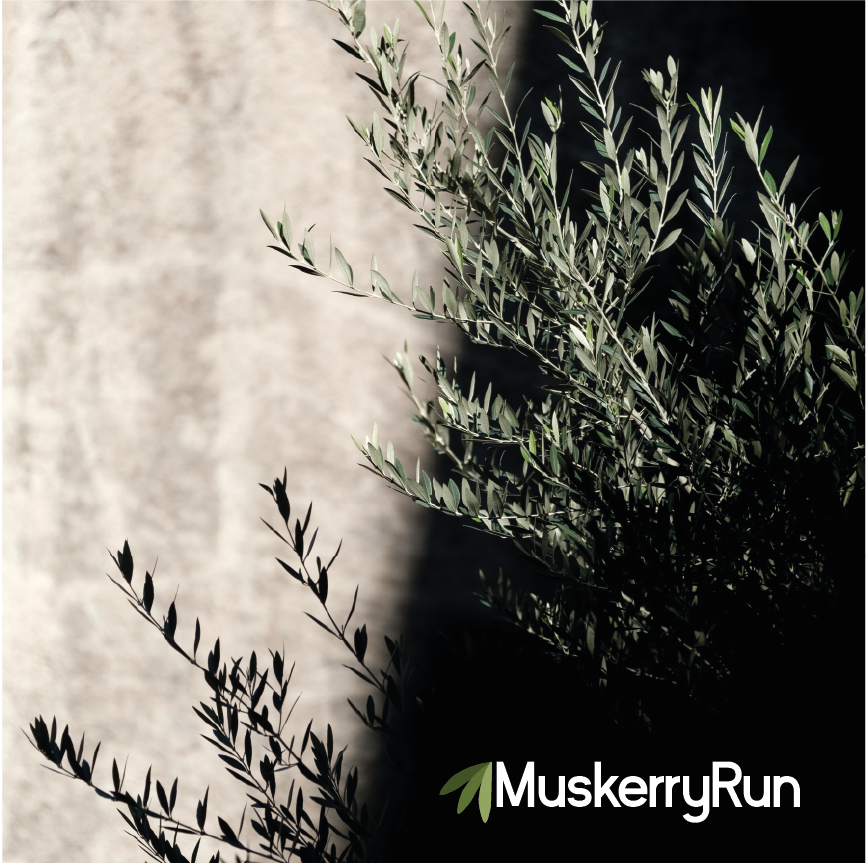 Logo Design by adriancarretero for this project | Design #19138299