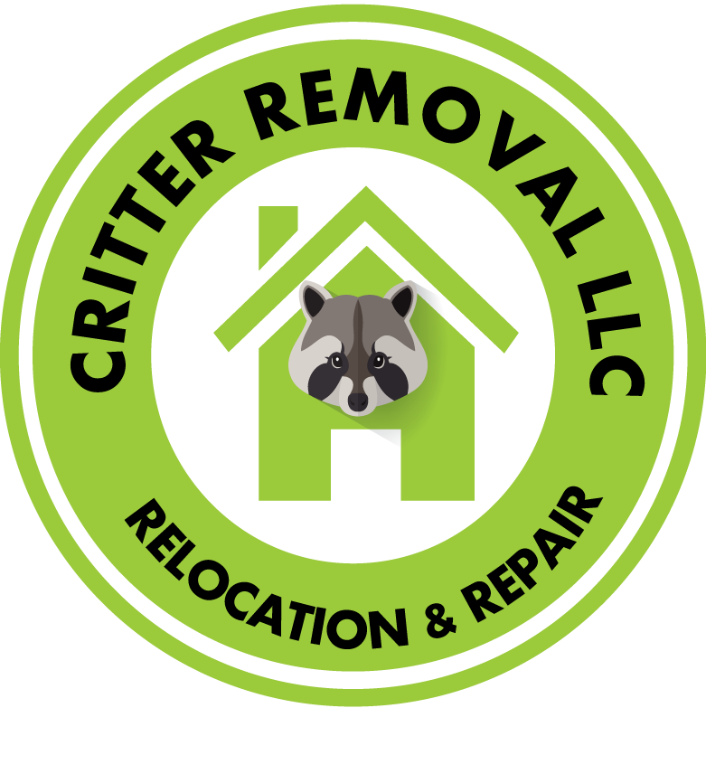 Logo Design by bondr1000 for this project | Design #19181798