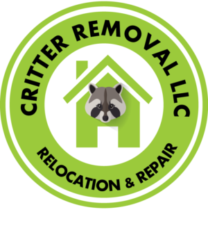 Logo Design by bondr1000 for this project | Design #19181798