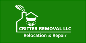 Logo Design by Archaeologo for this project | Design: #19159161