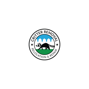 Logo Design by TB Designs for this project | Design: #19147863