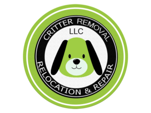 Logo Design by Auwal rg for this project | Design #19182683