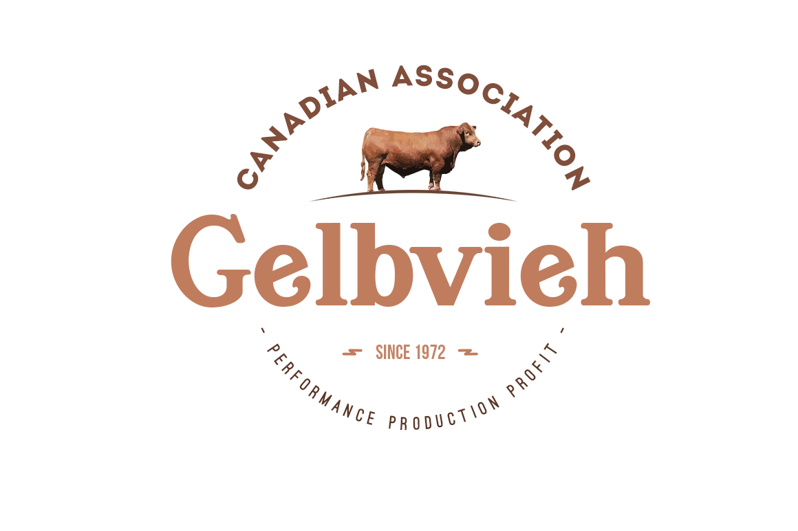 Logo-Design von Mix MyPhotoshop für CANADIAN GELBVIEH ASSOCIATION | Design #19188463