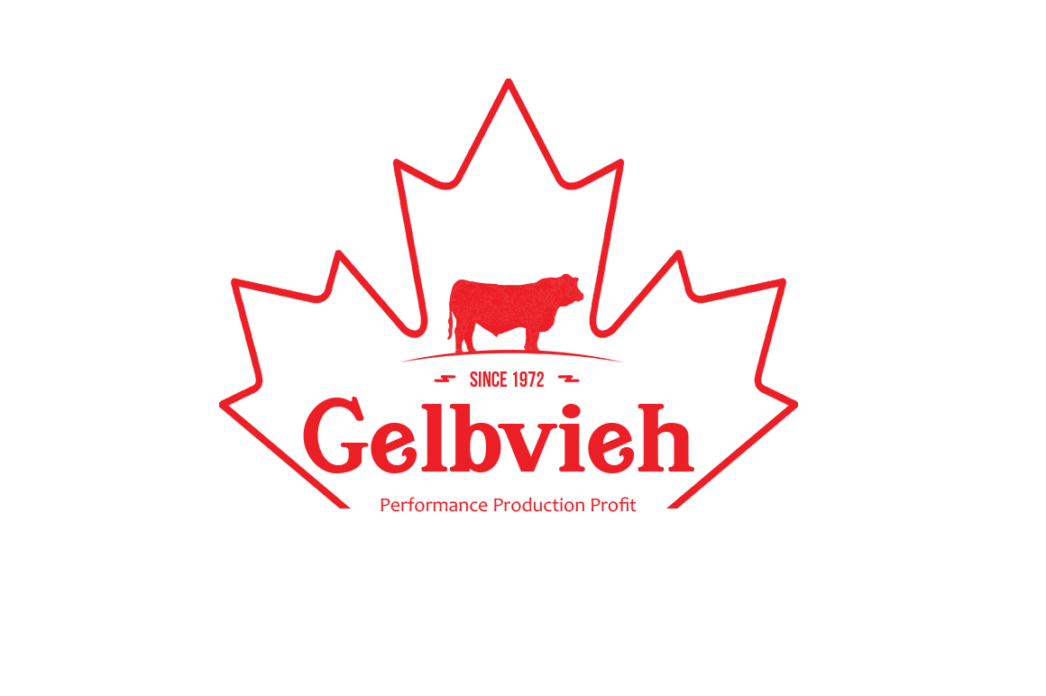 Diseño de Logo por Mix MyPhotoshop para CANADIAN GELBVIEH ASSOCIATION | Diseño #19202059