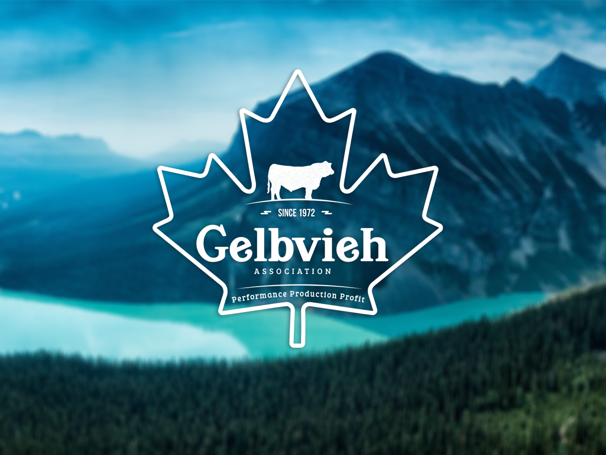 Diseño de Logo por Mix MyPhotoshop para CANADIAN GELBVIEH ASSOCIATION | Diseño #19207596