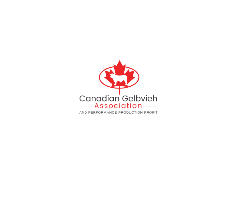 Diseño de Logo por instudio para CANADIAN GELBVIEH ASSOCIATION | Diseño #19314661