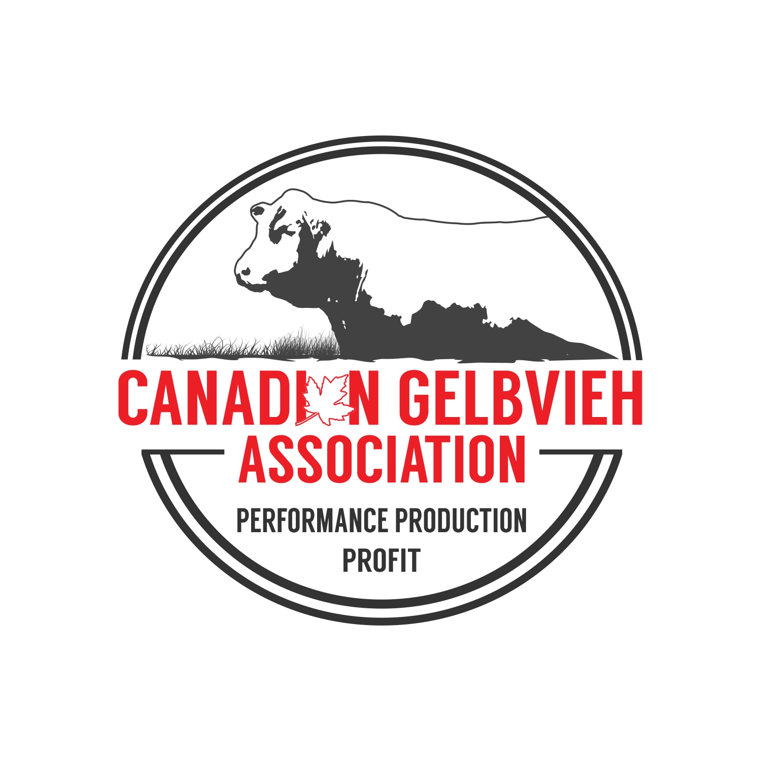 Design de Logo par CarlosQ pour CANADIAN GELBVIEH ASSOCIATION | Design #19235485