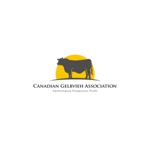 Logo Design by T-BoB