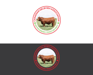 Logo Design by Himel khan 2