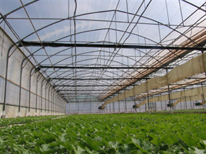 Logo Design by mamidnoucha