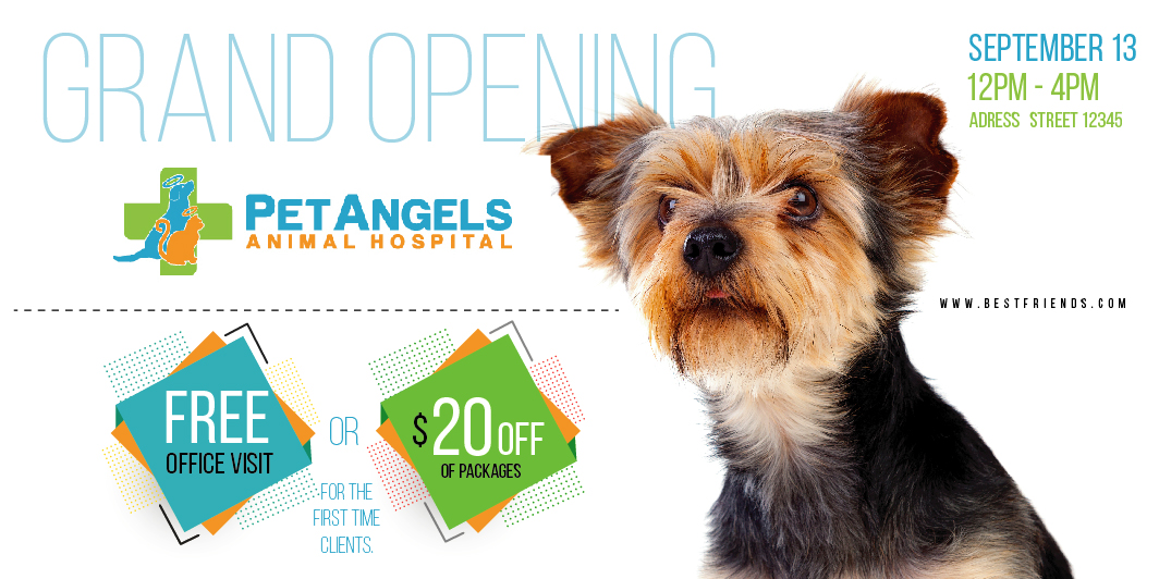 Postcard Design by Sarina.dsg for Pet Angels Animal Hospitals | Design #19157772