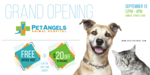 Postcard Design by carlossarina for Pet Angels Animal Hospitals | Design #19157774