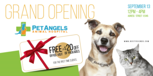 Postcard Design by Sarina.dsg for Pet Angels Animal Hospitals | Design: #19157777