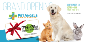 Postcard Design by Sarina.dsg for Pet Angels Animal Hospitals | Design: #19157778