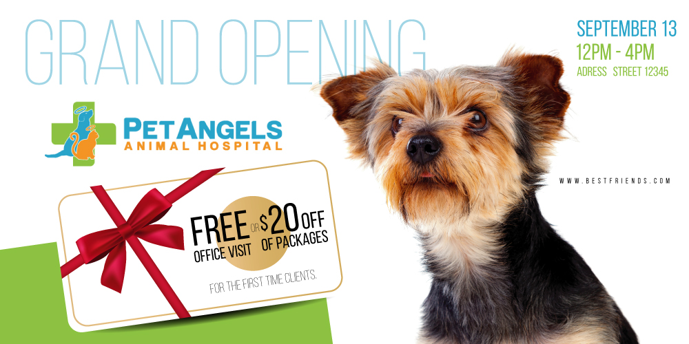Postcard Design by Sarina.dsg for Pet Angels Animal Hospitals | Design #19157791