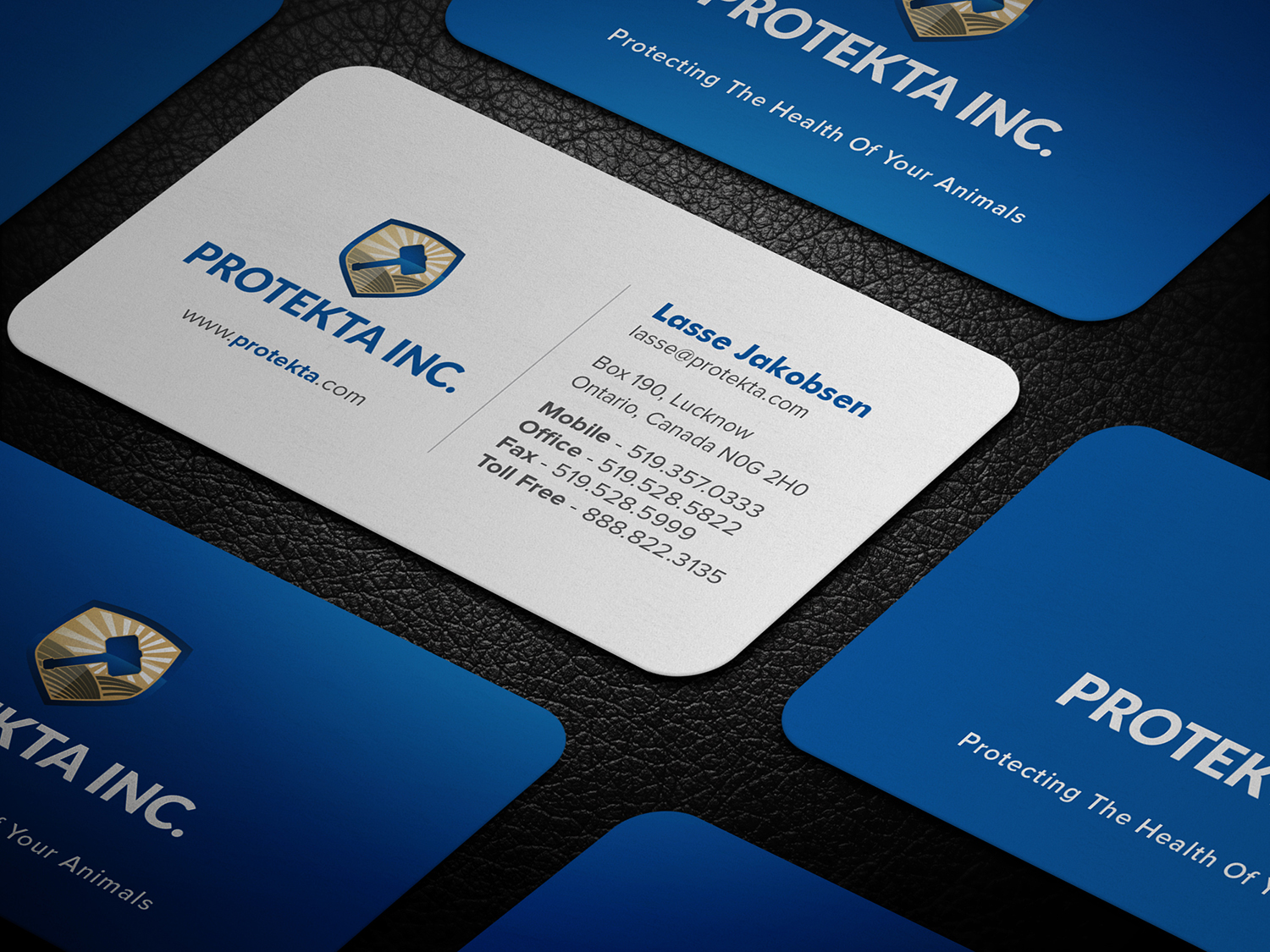 Business Card Design by Tilt for Protekta Inc. | Design #19167984