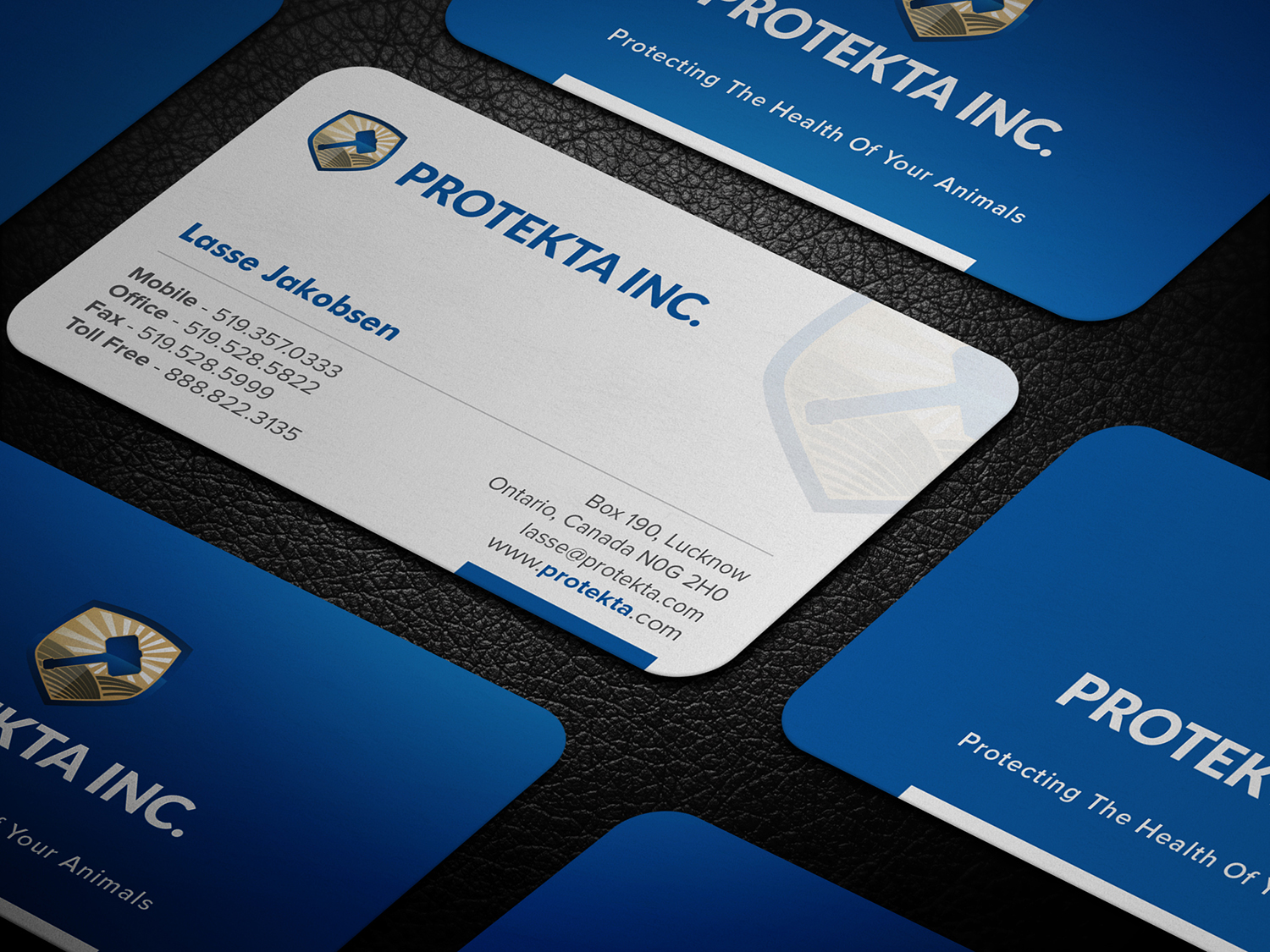 Business Card Design by Tilt for Protekta Inc. | Design #19167985