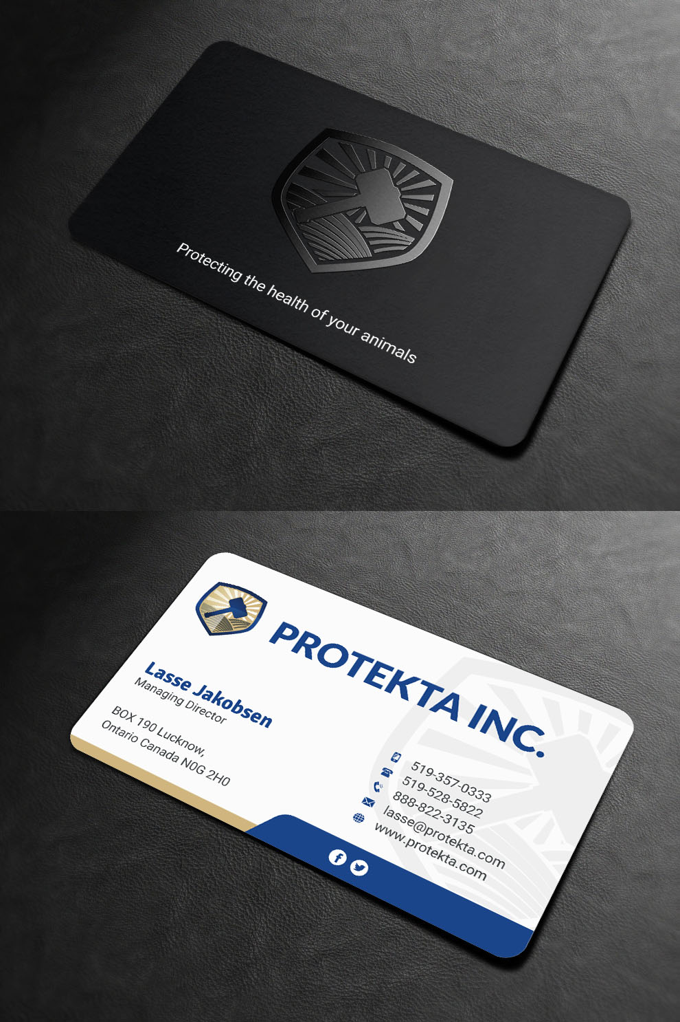 Business Card Design by INDIAN_Ashok for Protekta Inc. | Design #19167593