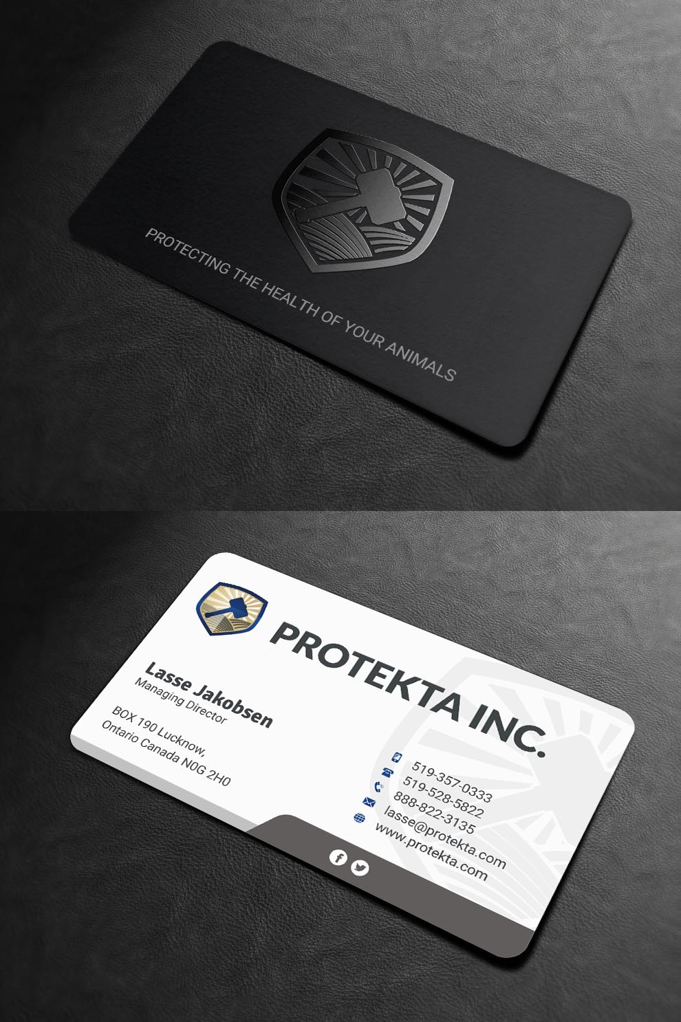 Business Card Design by INDIAN_Ashok for Protekta Inc. | Design #19188240