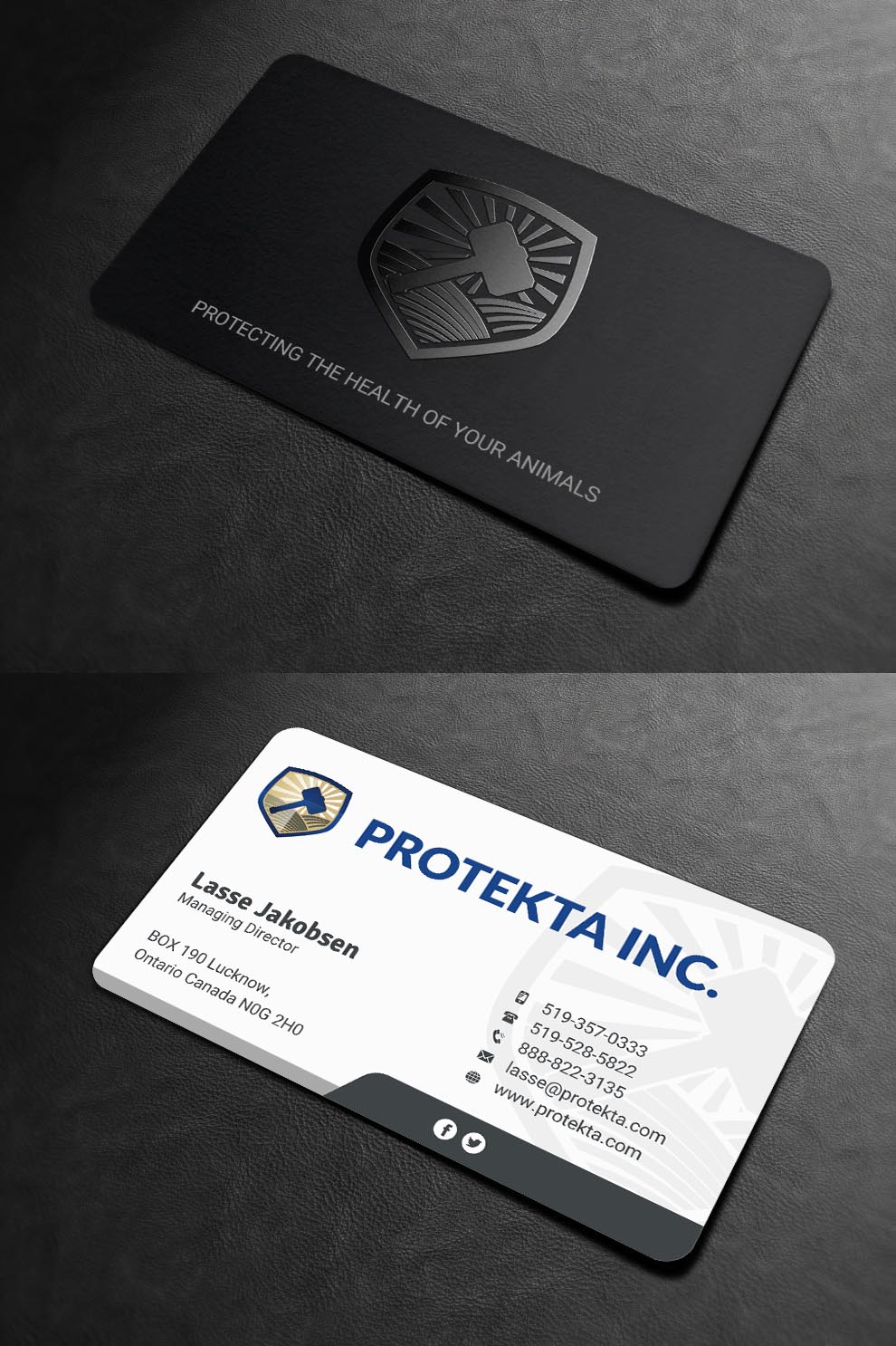 Business Card Design by INDIAN_Ashok for Protekta Inc. | Design #19188241