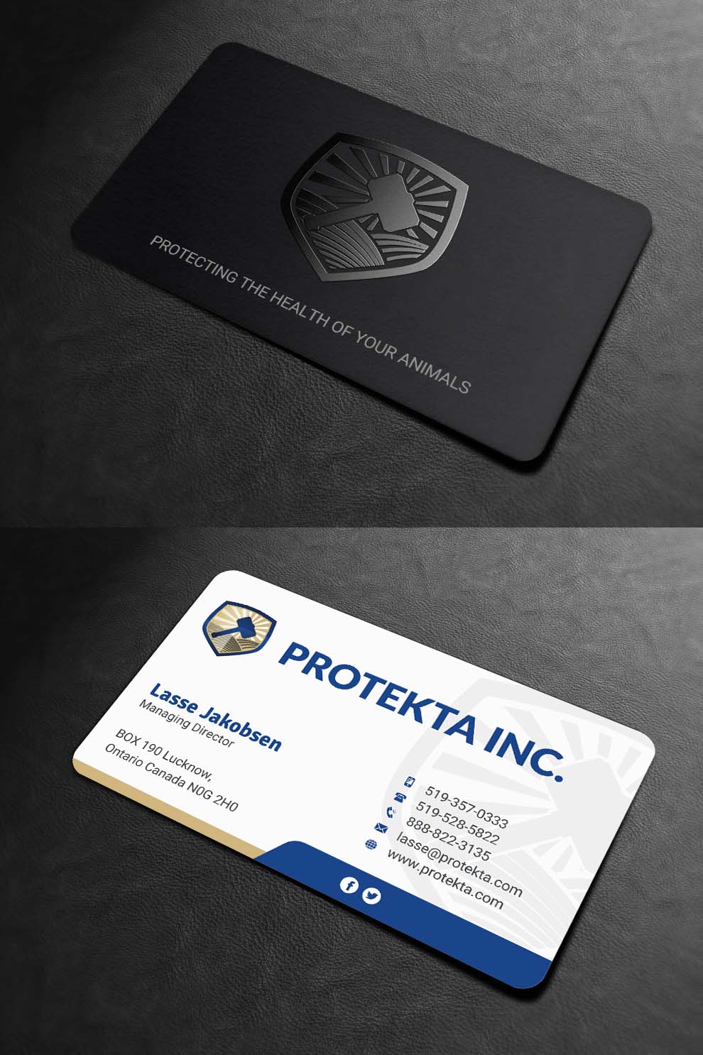 Business Card Design by INDIAN_Ashok for Protekta Inc. | Design #19209527