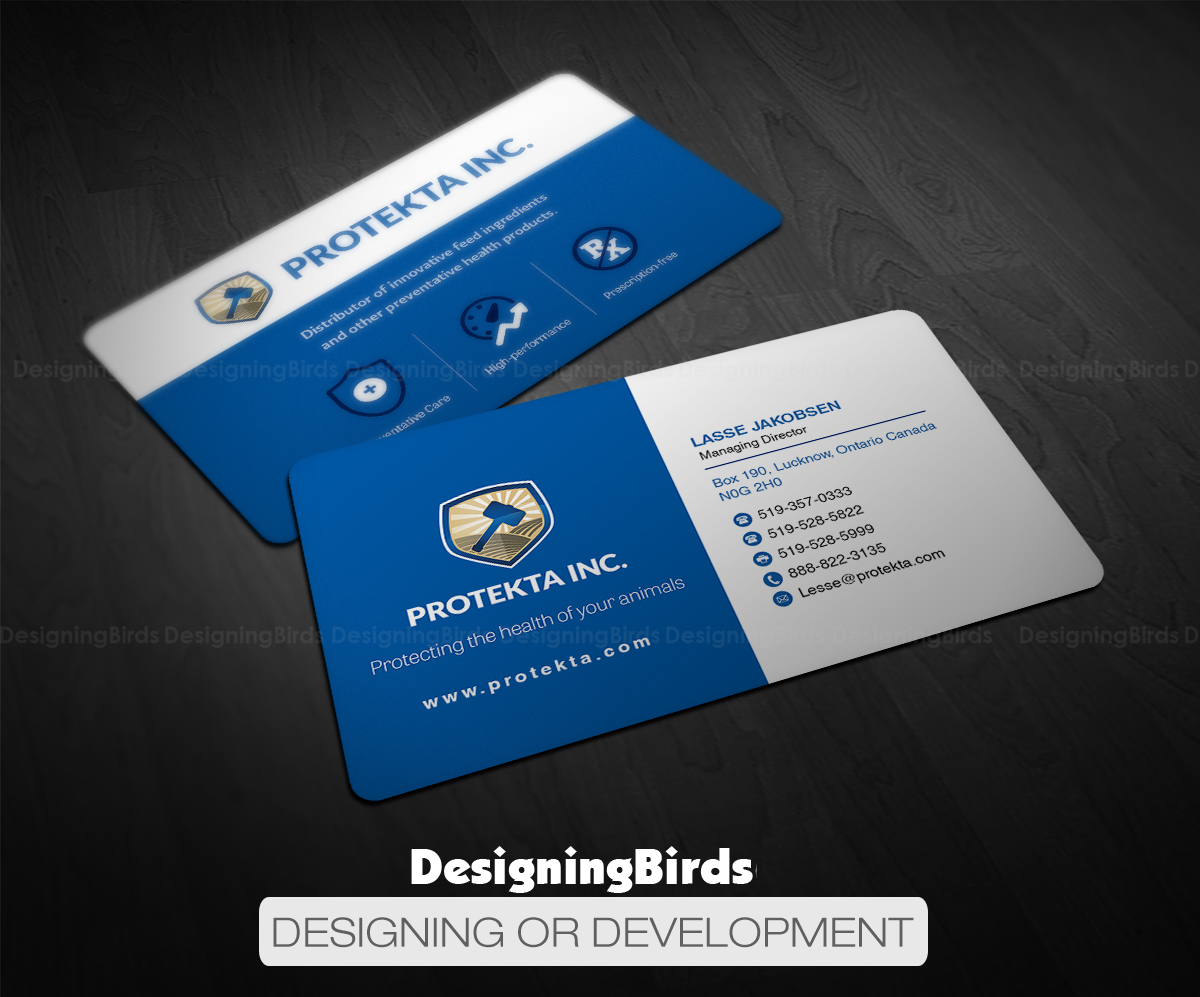 Business Card Design by Designing Birds for Protekta Inc. | Design #19172295