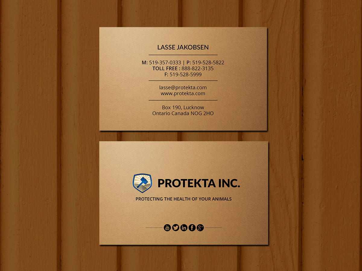 Business Card Design by Creations Box 2015 for Protekta Inc. | Design #19181966