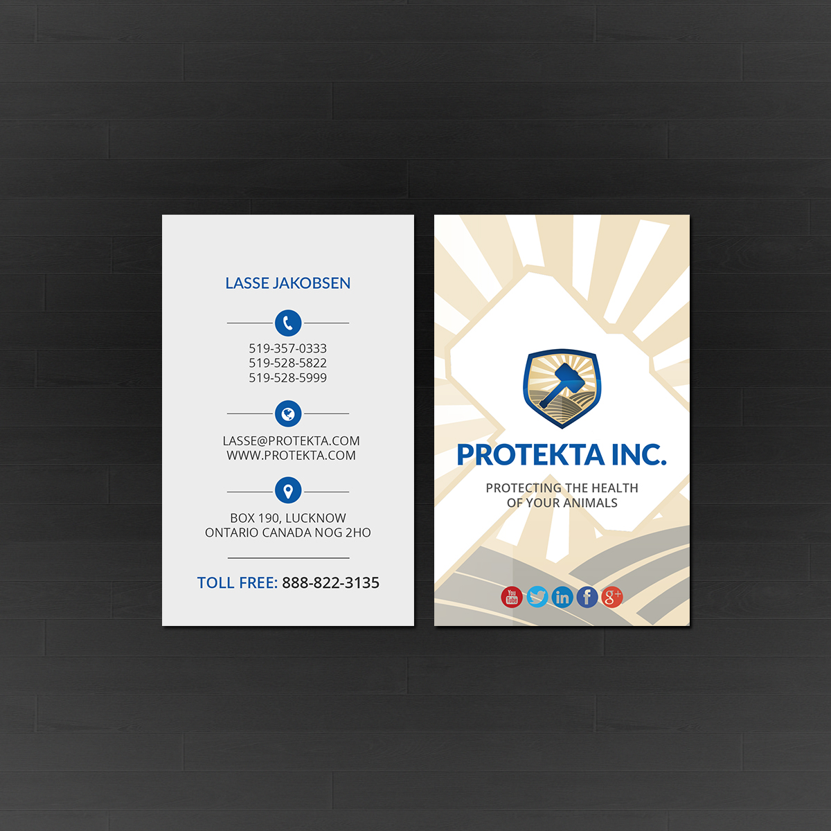 Business Card Design by Creations Box 2015 for Protekta Inc. | Design #19181973