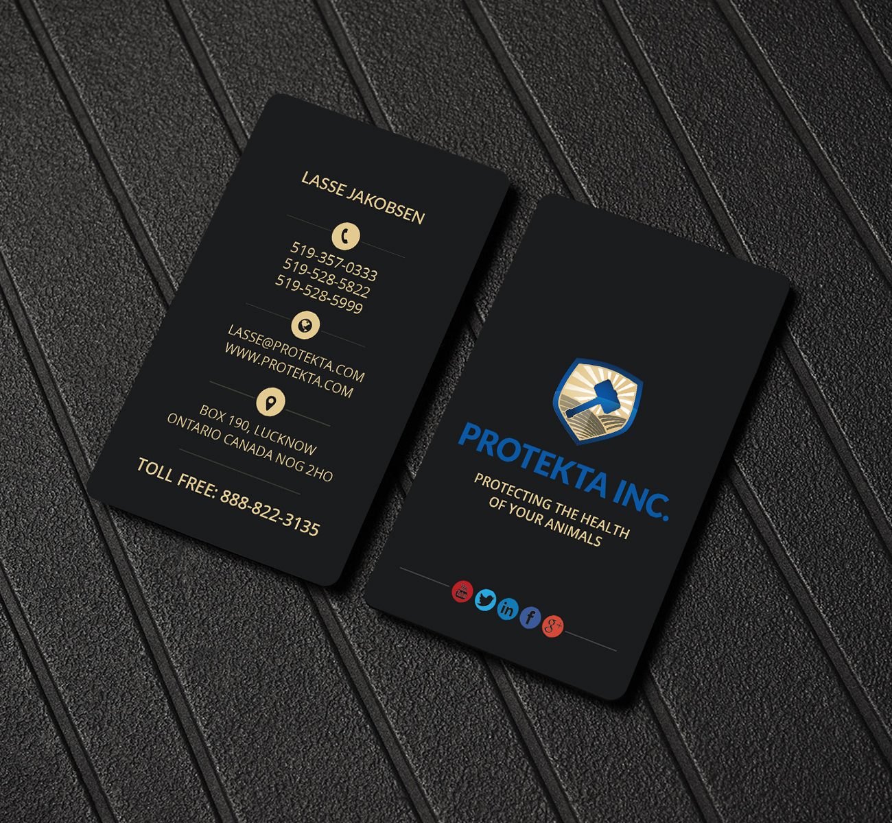 Business Card Design by Creations Box 2015 for Protekta Inc. | Design #19182080