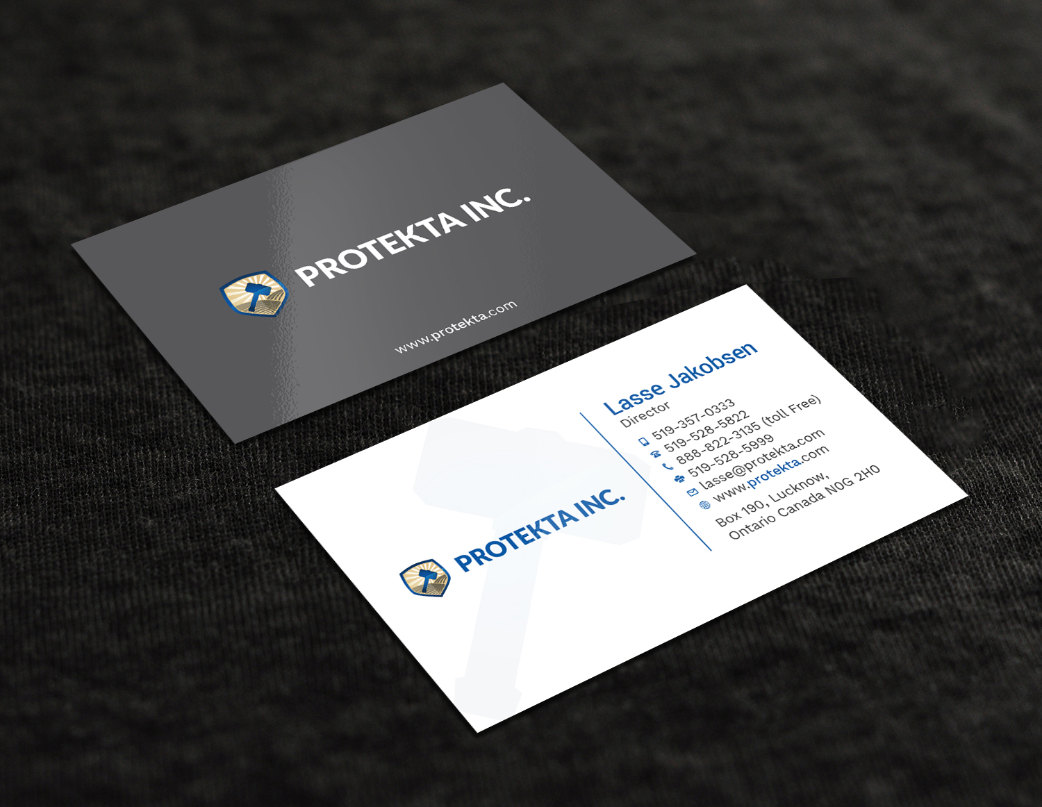 Business Card Design by Tripti Ranjan Gain for Protekta Inc. | Design #19170214