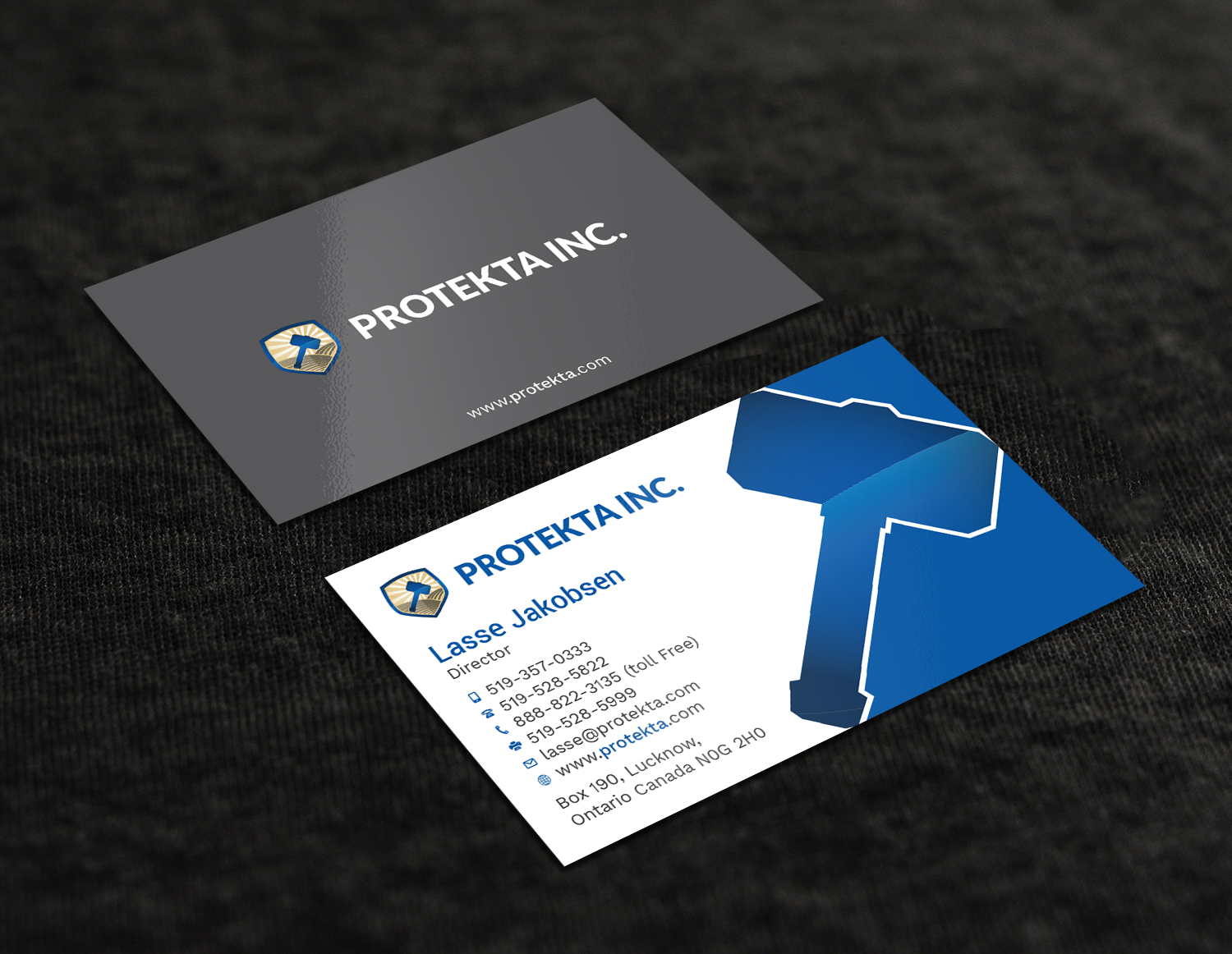 Business Card Design by Tripti Ranjan Gain for Protekta Inc. | Design #19170216