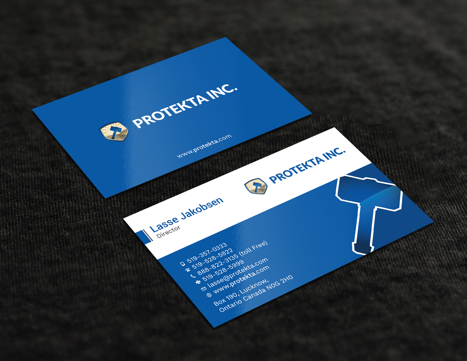 Business Card Design by Tripti Ranjan Gain for Protekta Inc. | Design #19170217