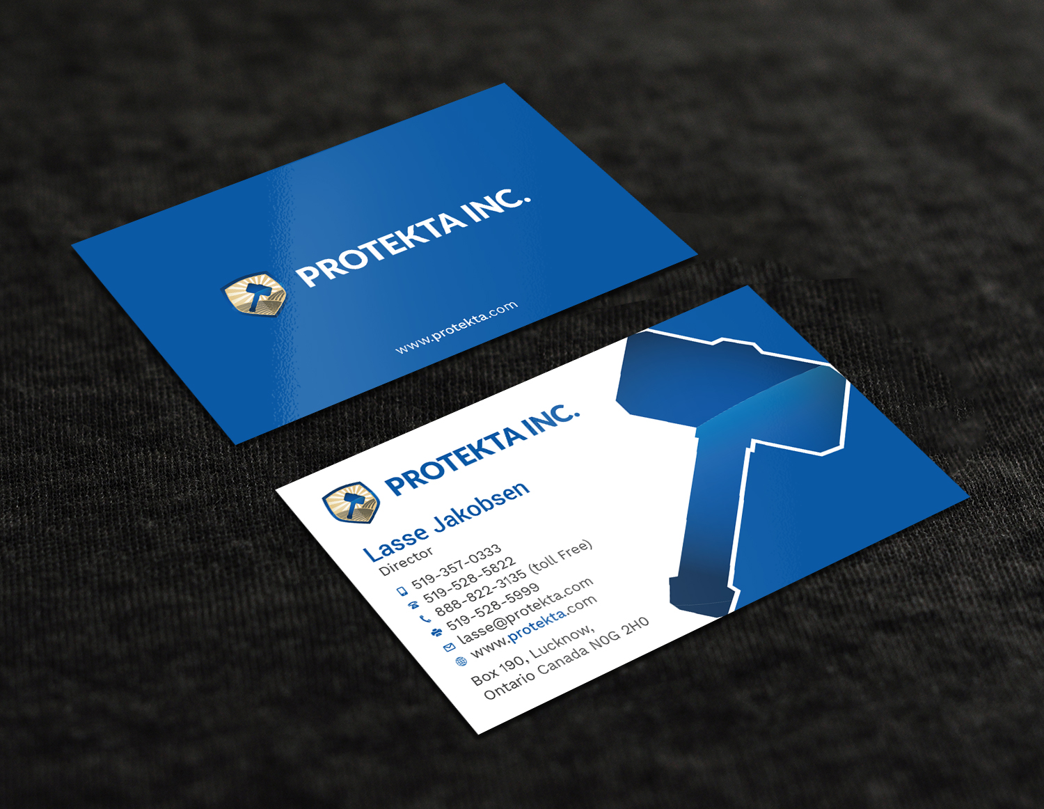 Business Card Design by Tripti Ranjan Gain for Protekta Inc. | Design #19170218