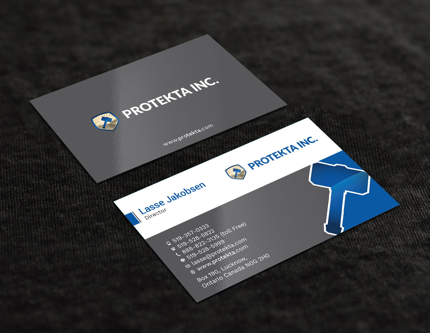 Business Card Design by Tripti Ranjan Gain for Protekta Inc. | Design #19170221