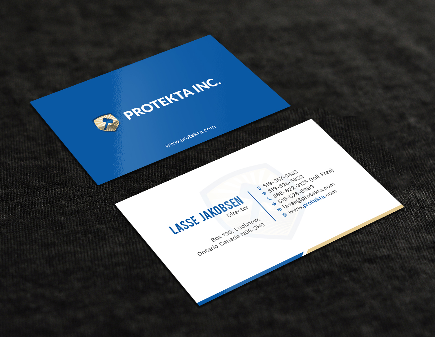 Business Card Design by Tripti Ranjan Gain for Protekta Inc. | Design #19170231