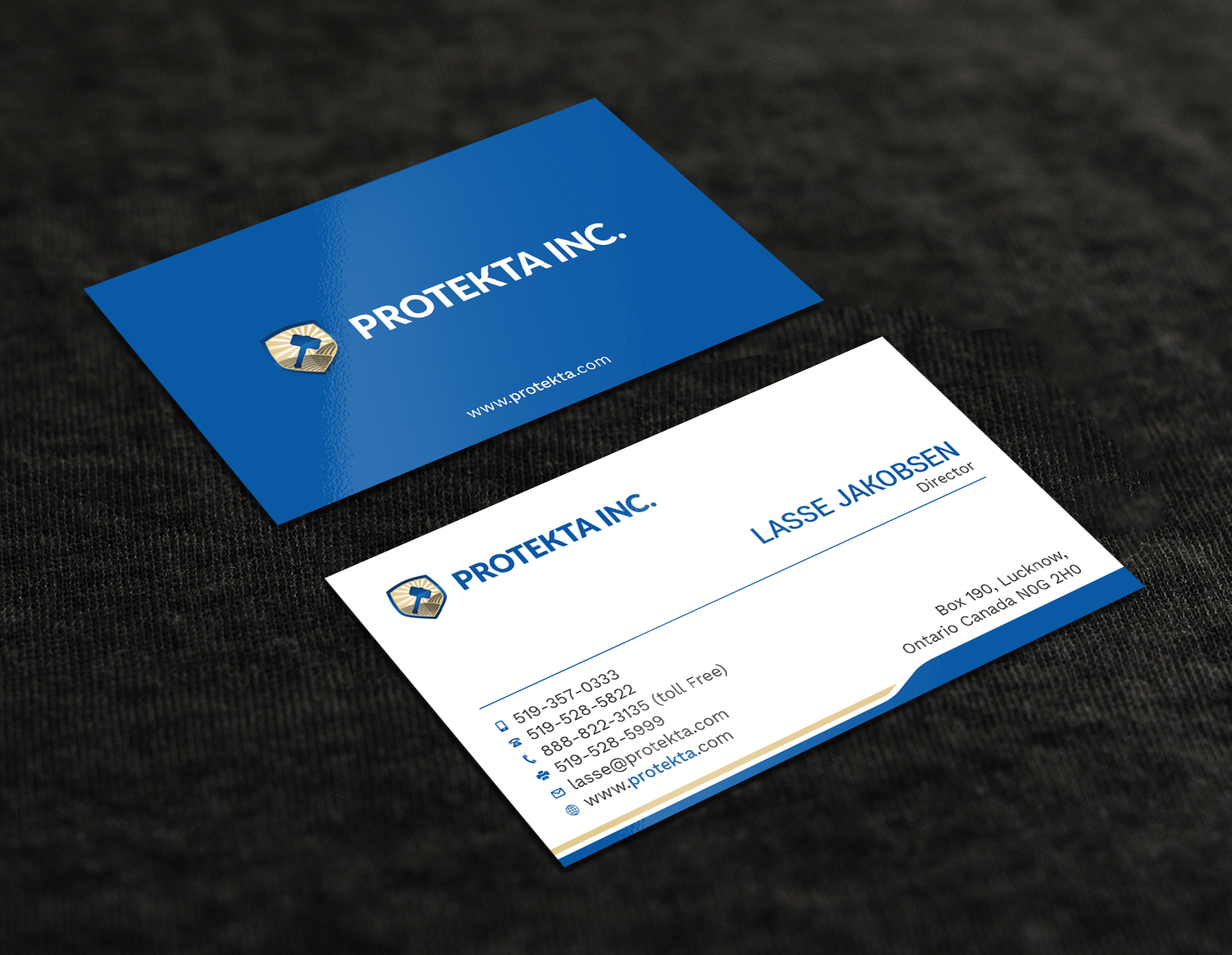 Business Card Design by Tripti Ranjan Gain for Protekta Inc. | Design #19170232