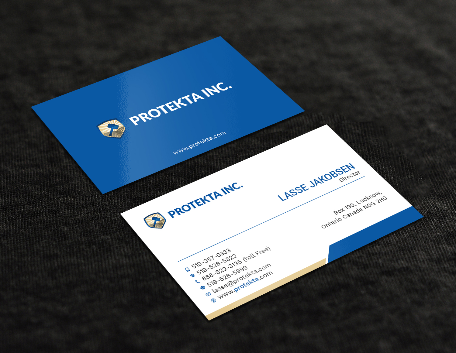 Business Card Design by Tripti Ranjan Gain for Protekta Inc. | Design #19170242