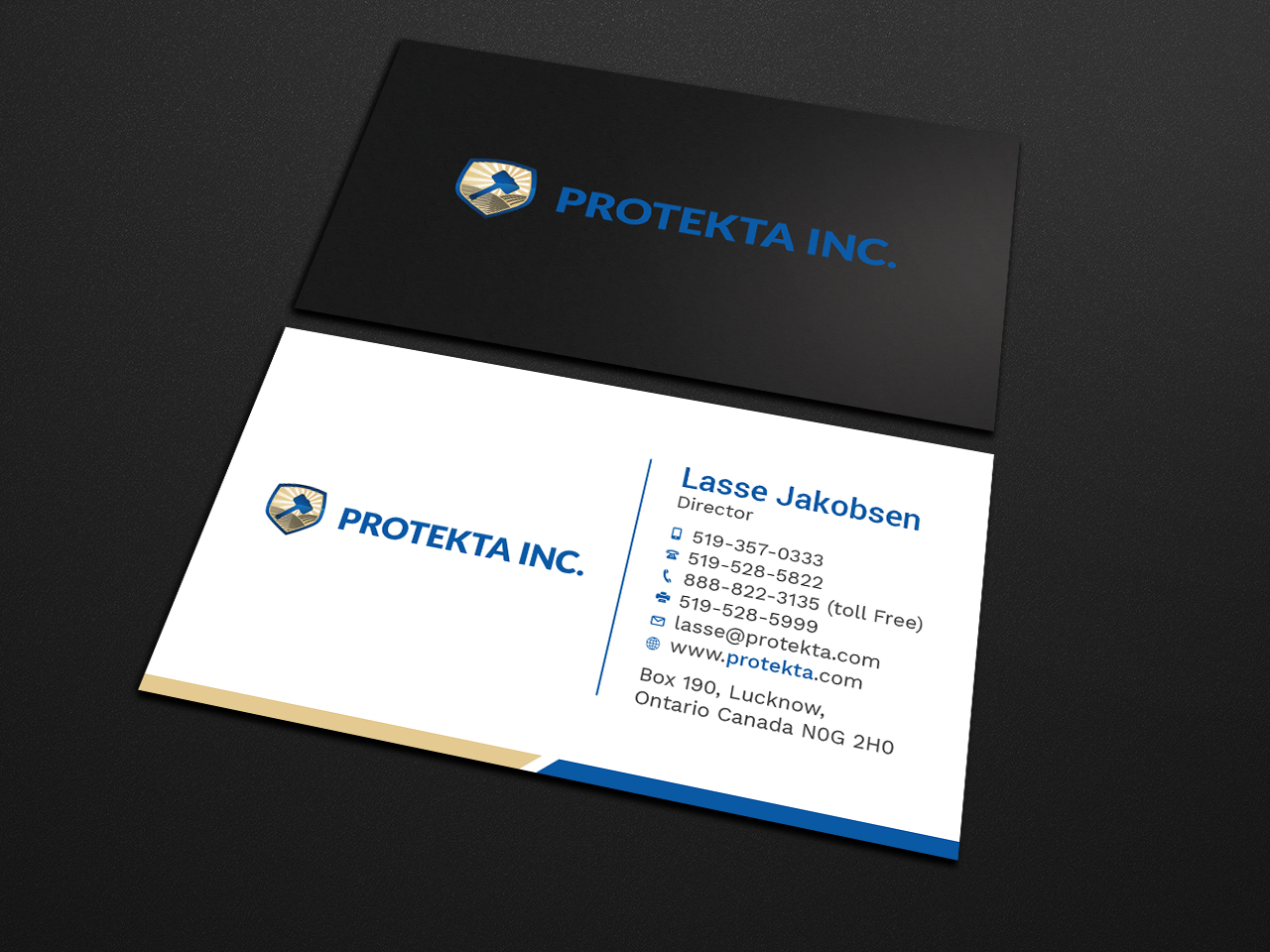 Business Card Design by Tripti Ranjan Gain for Protekta Inc. | Design #19170244