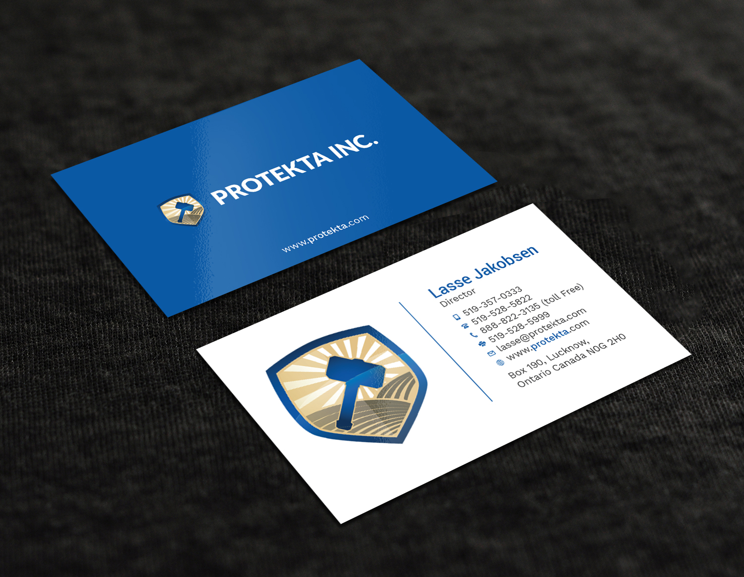 Business Card Design by Tripti Ranjan Gain for Protekta Inc. | Design #19170247