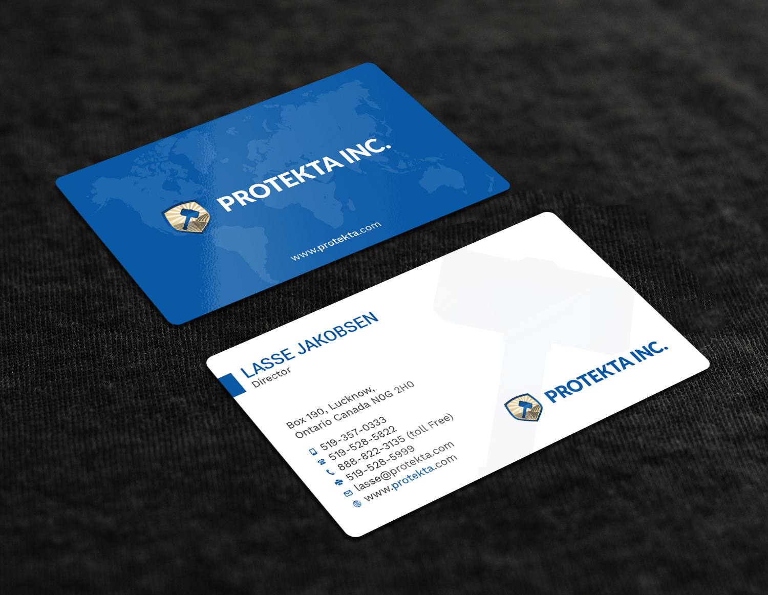 Business Card Design by Tripti Ranjan Gain for Protekta Inc. | Design #19171130