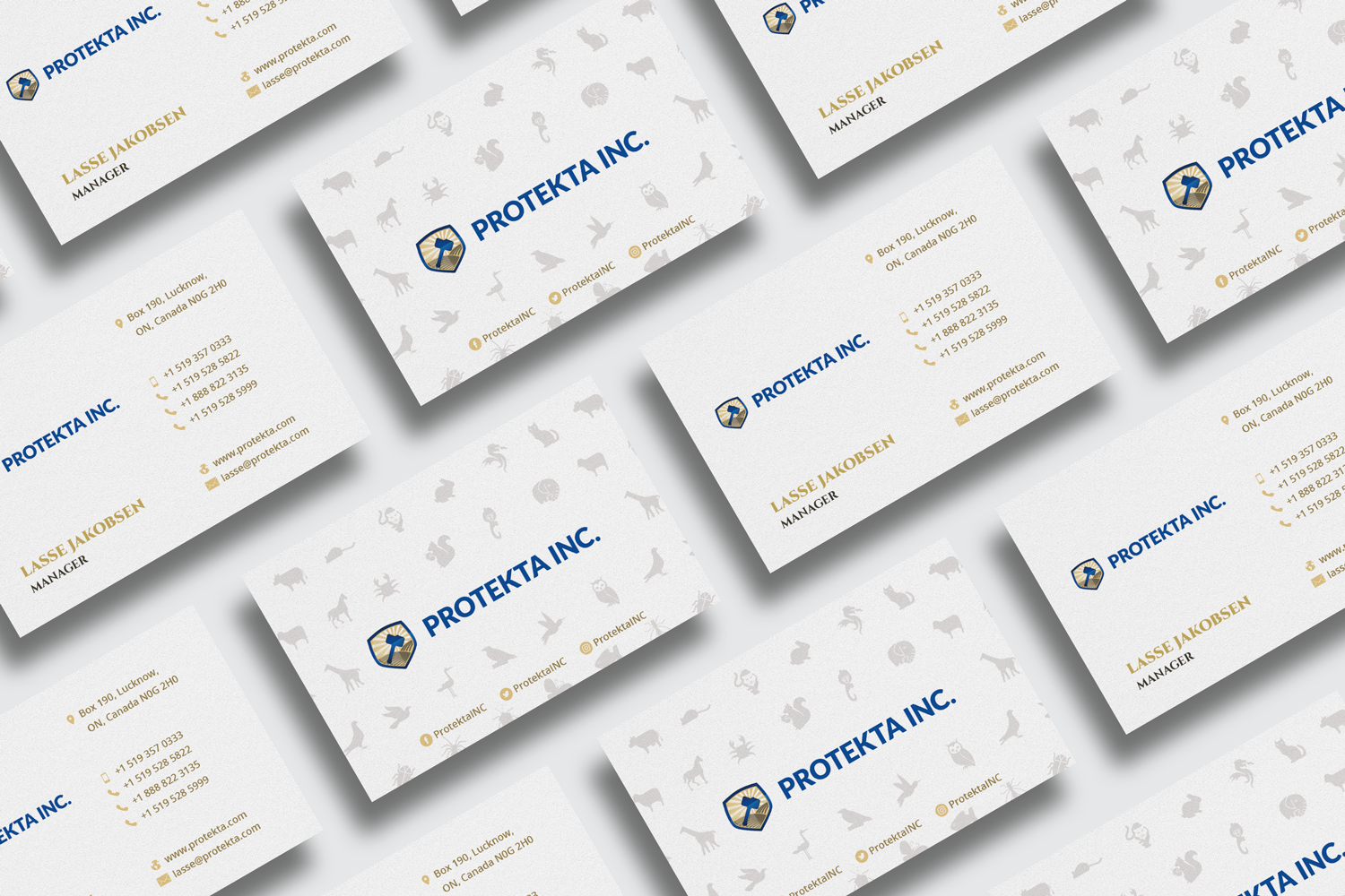 Business Card Design by HuseyinBozkurt for Protekta Inc. | Design #19171668