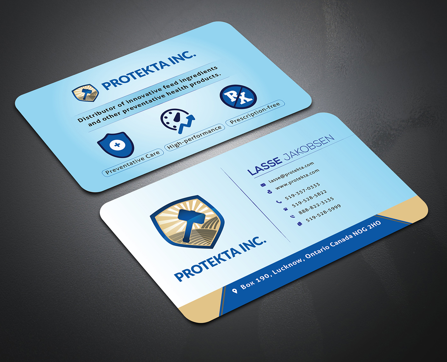 Business Card Design by syhamsmt for Protekta Inc. | Design #19167795