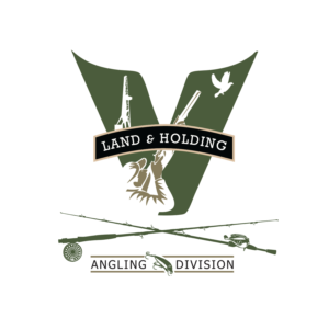 Logo Design by DAVIDEZIGN for V Land & Holding | Design: #19597854