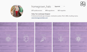 Instagram story icons needed.  | Design Icône par angejimenezm