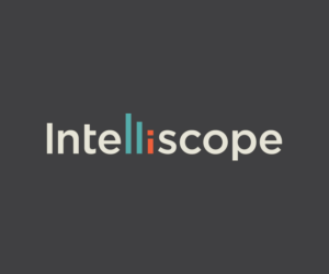 Logo Design by NineOwl